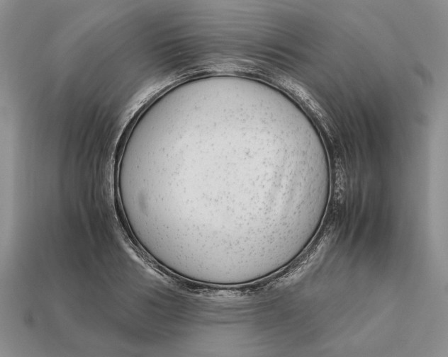X0000113040986200909241431