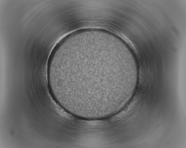 X0000113040988200909241431
