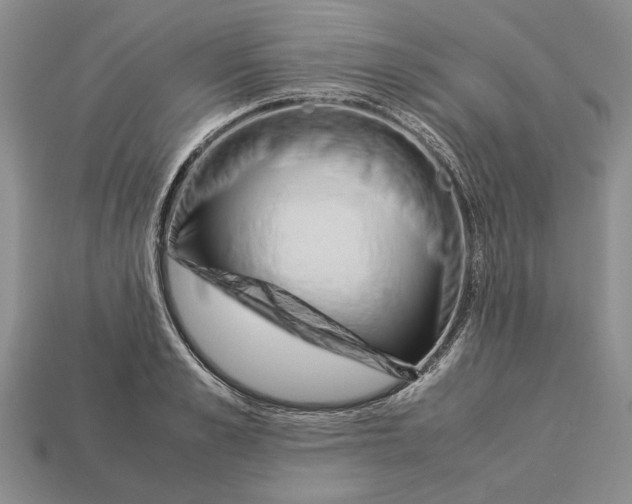 X0000113040989200909241431