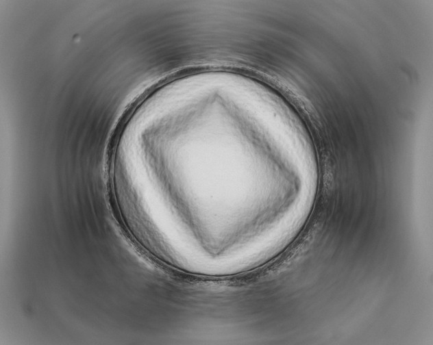 X0000113040990200909241431