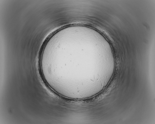 X0000113040991200909241431