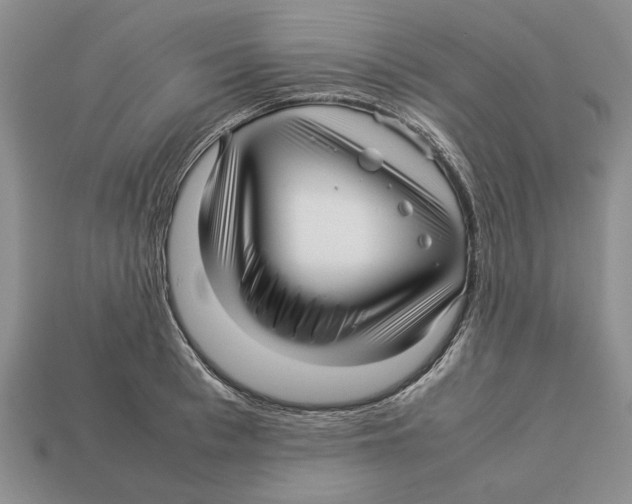 X0000113040993200909241431