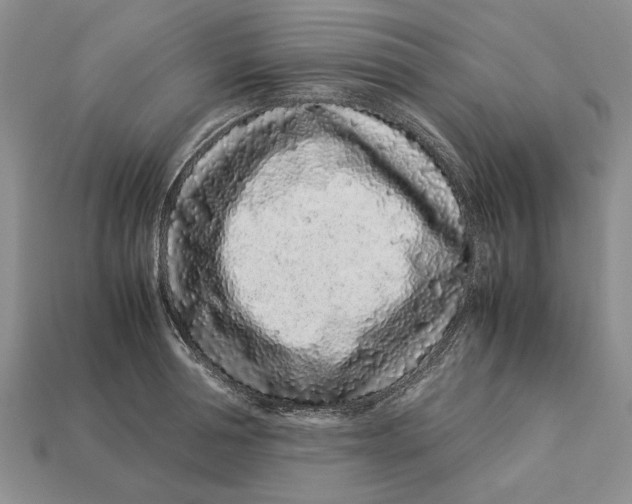 X0000113040994200909241431