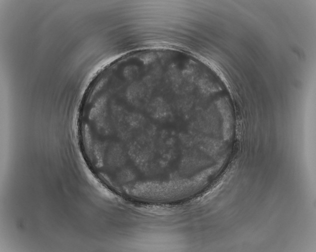 X0000113040995200909241431