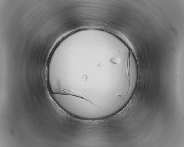 X0000113040996200909241431