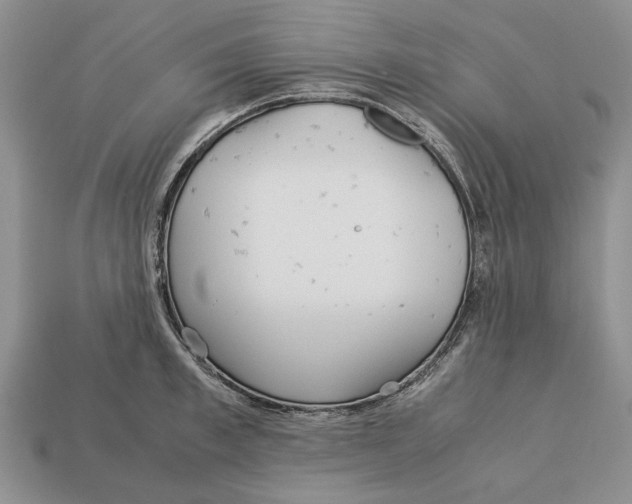 X0000113040997200909241431