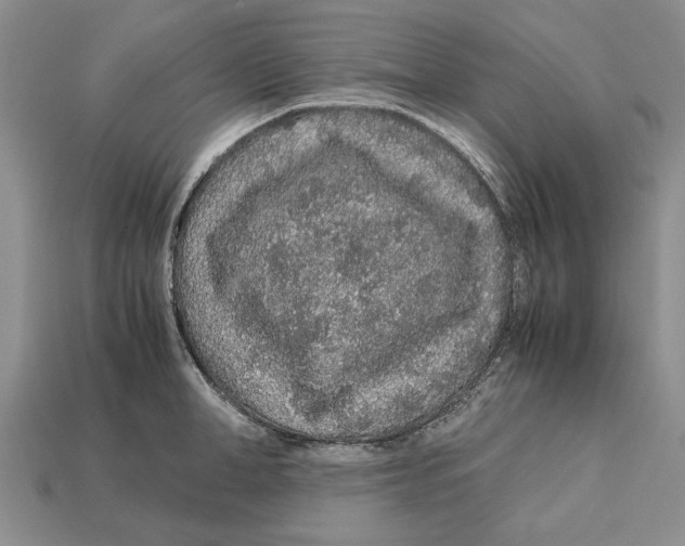 X0000113040998200909241431