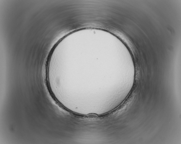 X0000113040999200909241431