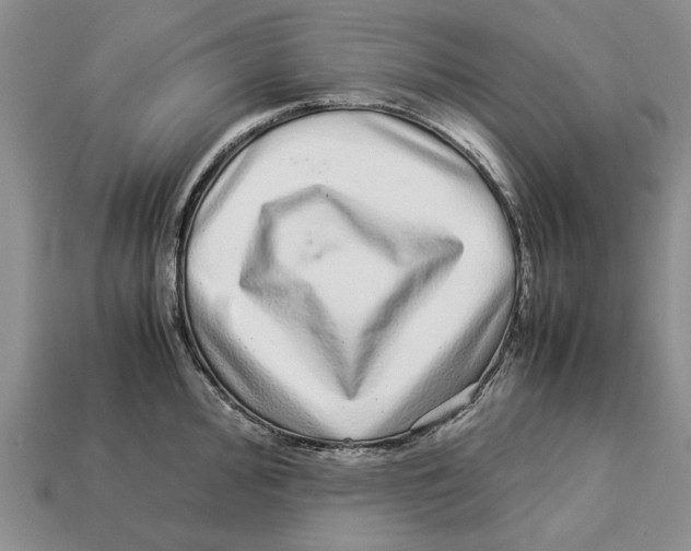 X0000113041000200909241431