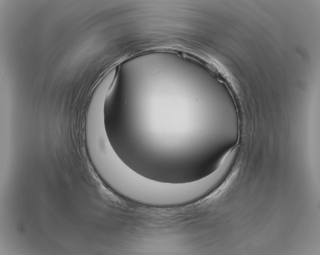X0000113041001200909241431