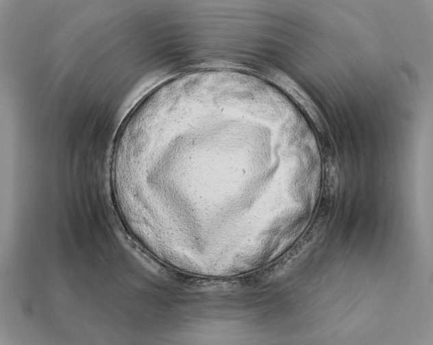X0000113041002200909241431