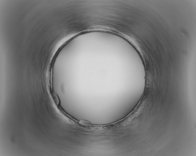 X0000113041003200909241431