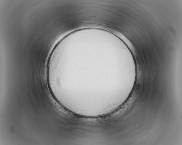 X0000113041004200909241431