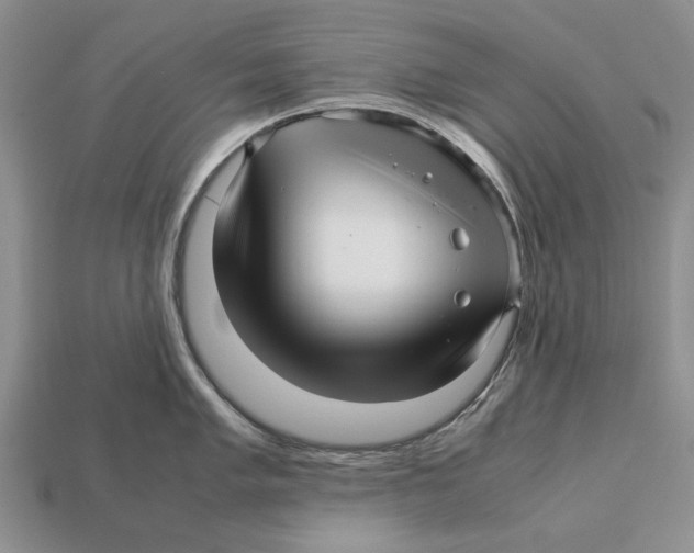 X0000113041005200909241431