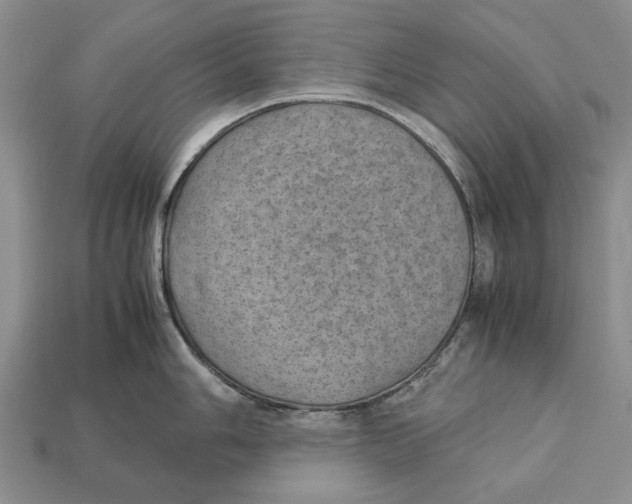 X0000113041006200909241431