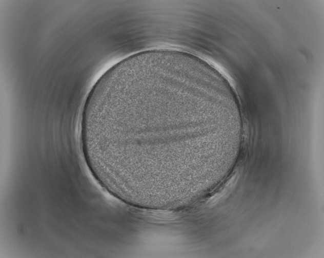 X0000113041007200909241431