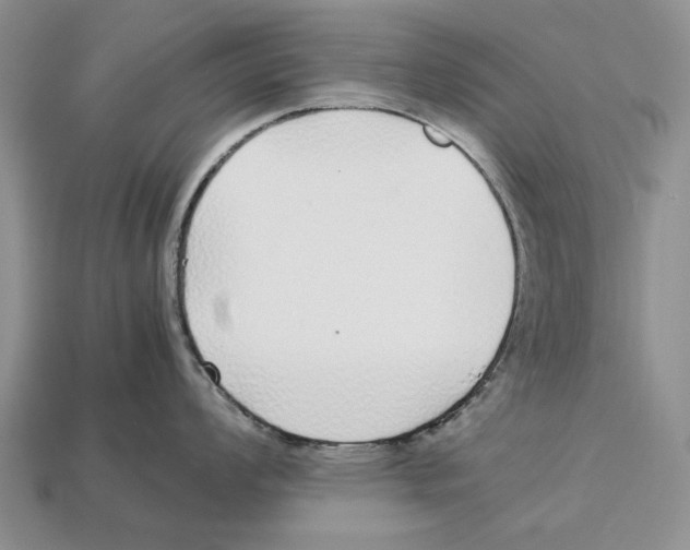 X0000113041008200909241430