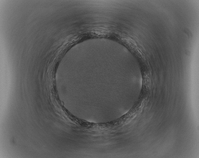 X0000113041009200909241430