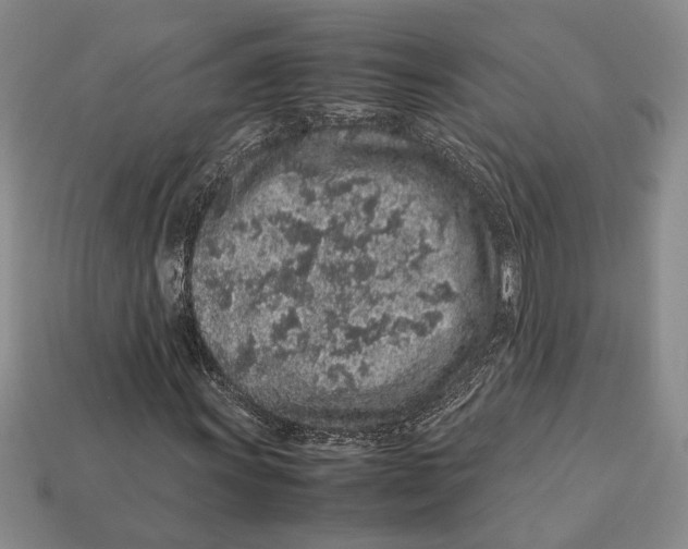 X0000113041011200909241430