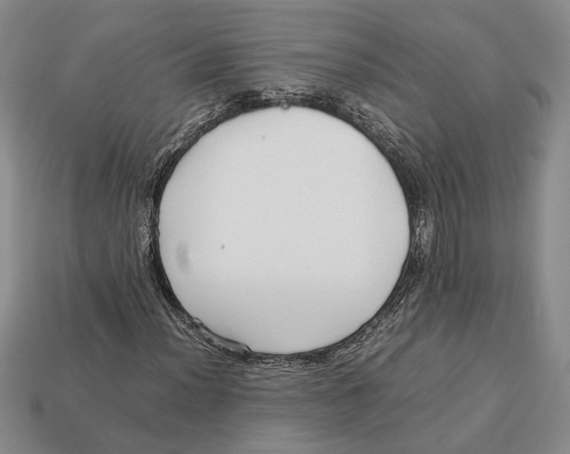 X0000113041012200909241430
