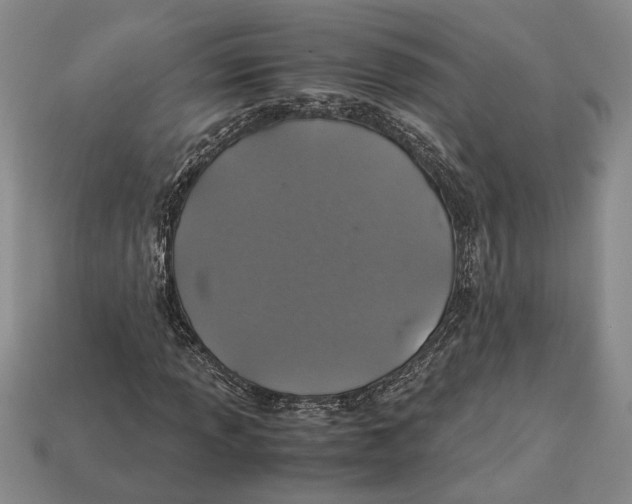 X0000113041013200909241430