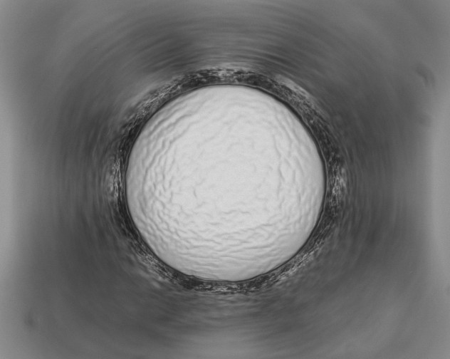 X0000113041014200909241430