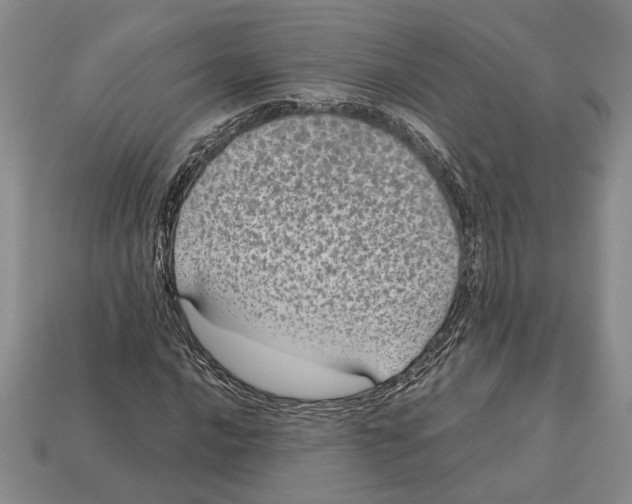 X0000113041016200909241430