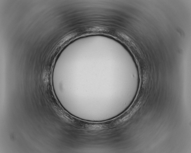 X0000113041017200909241430