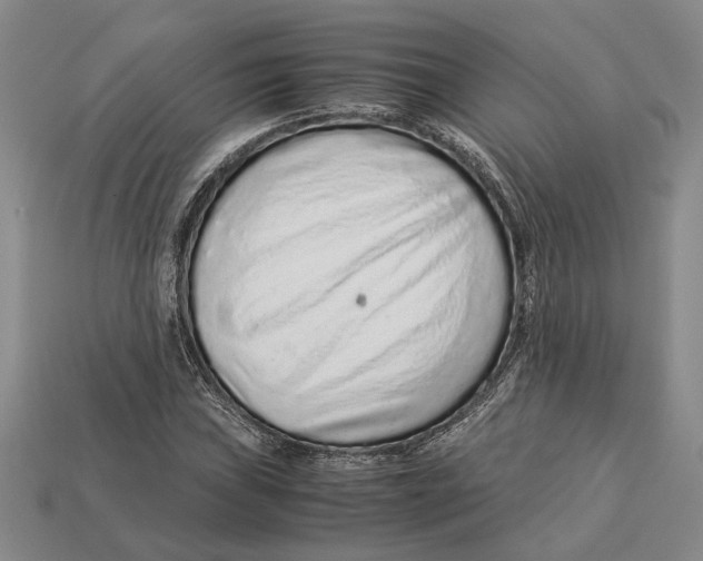 X0000113041019200909241430