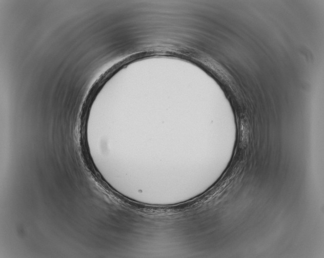X0000113041020200909241430