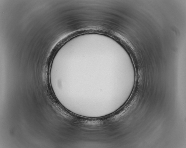 X0000113041021200909241430