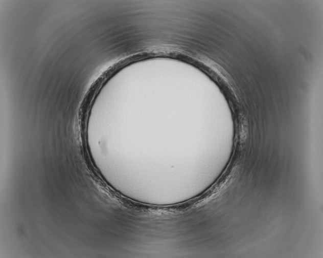 X0000113041022200909241430
