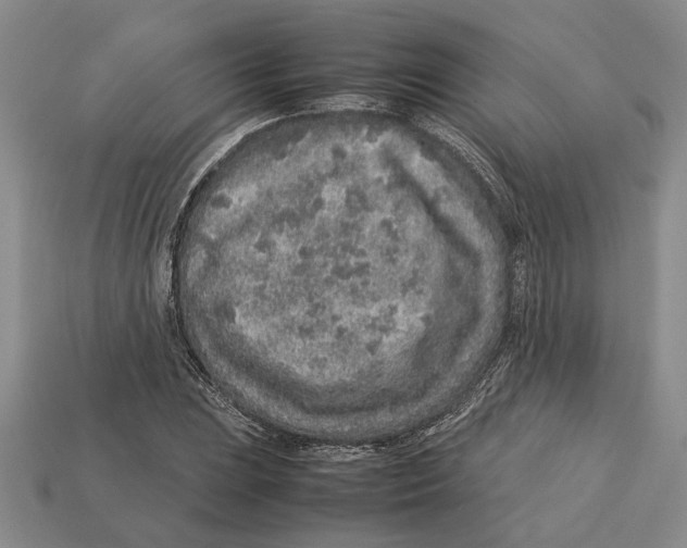X0000113041023200909241430