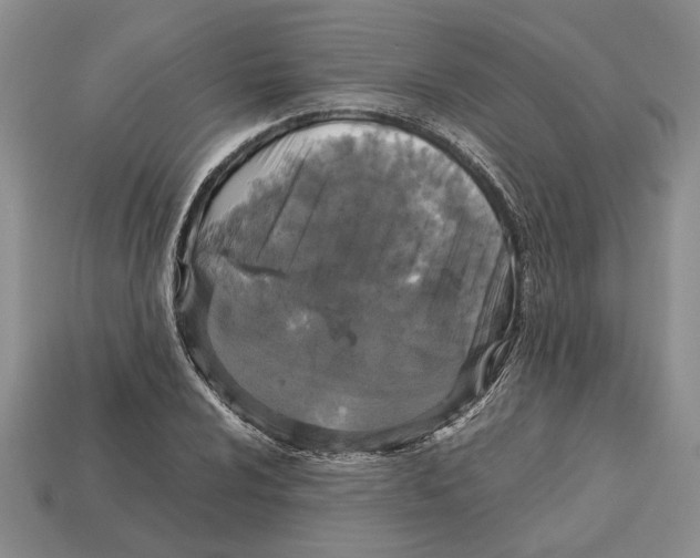X0000113041024200909241430