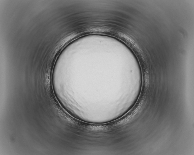 X0000113041025200909241430