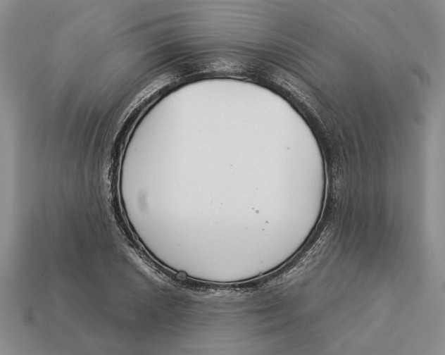 X0000113041026200909241430
