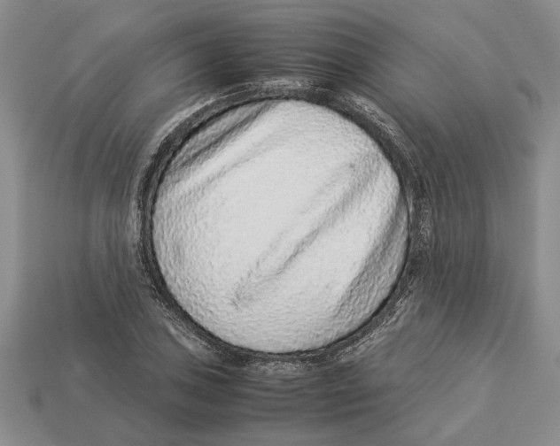 X0000113041027200909241430