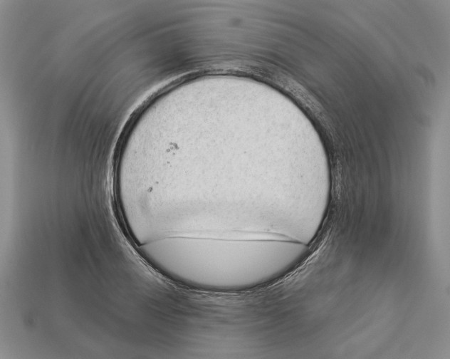 X0000113041028200909241430