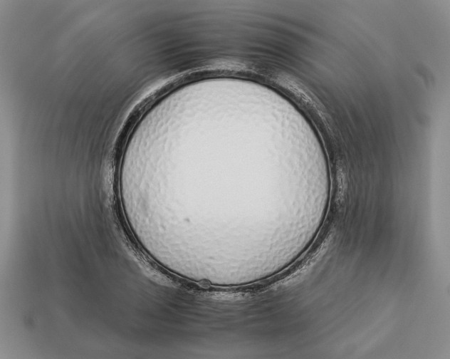 X0000113041029200909241430