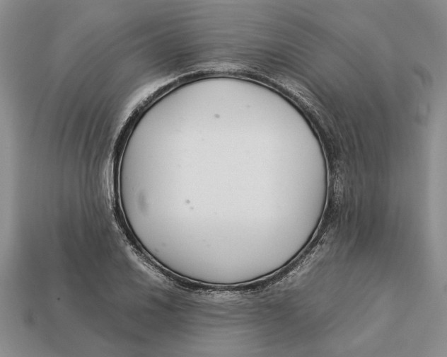 X0000113041030200909241430