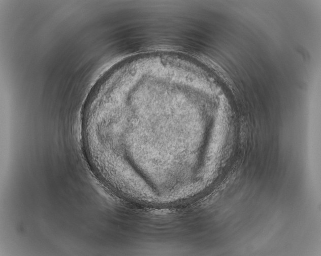 X0000113041031200909241430
