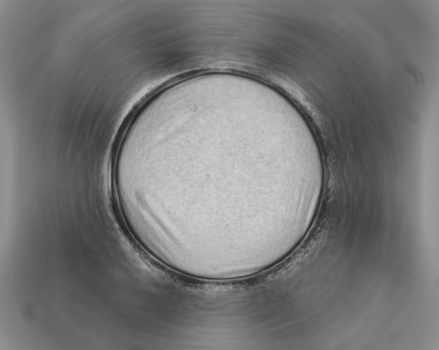 X0000113041032200909241430
