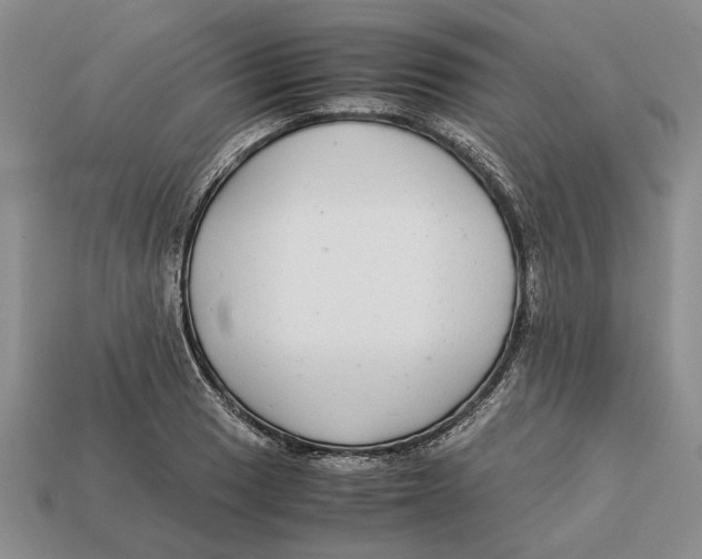 X0000113041033200909241430