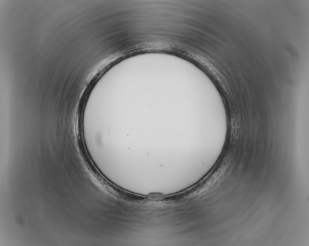 X0000113041034200909241430
