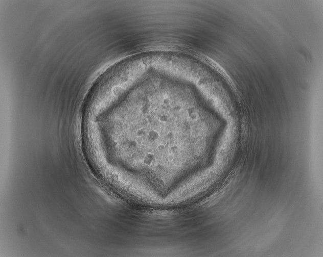 X0000113041035200909241430