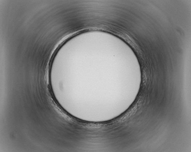 X0000113041036200909241430
