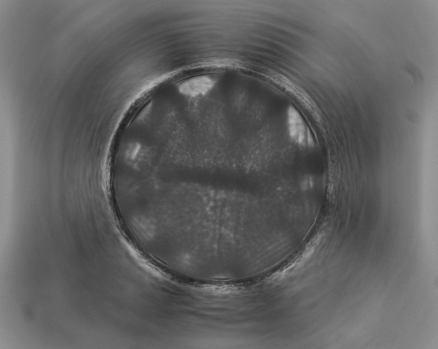 X0000113041037200909241430
