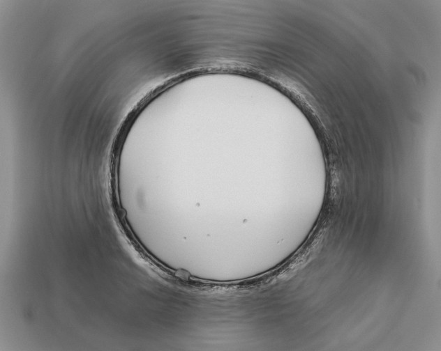 X0000113041038200909241430