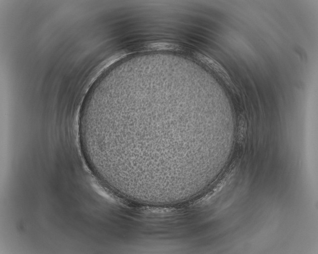 X0000113041039200909241430