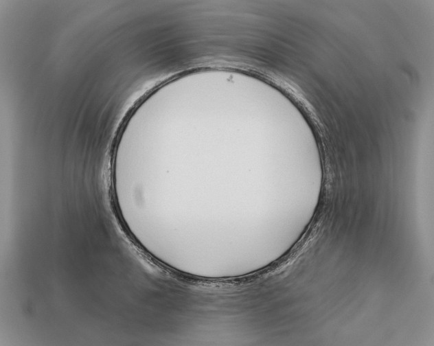 X0000113041040200909241430